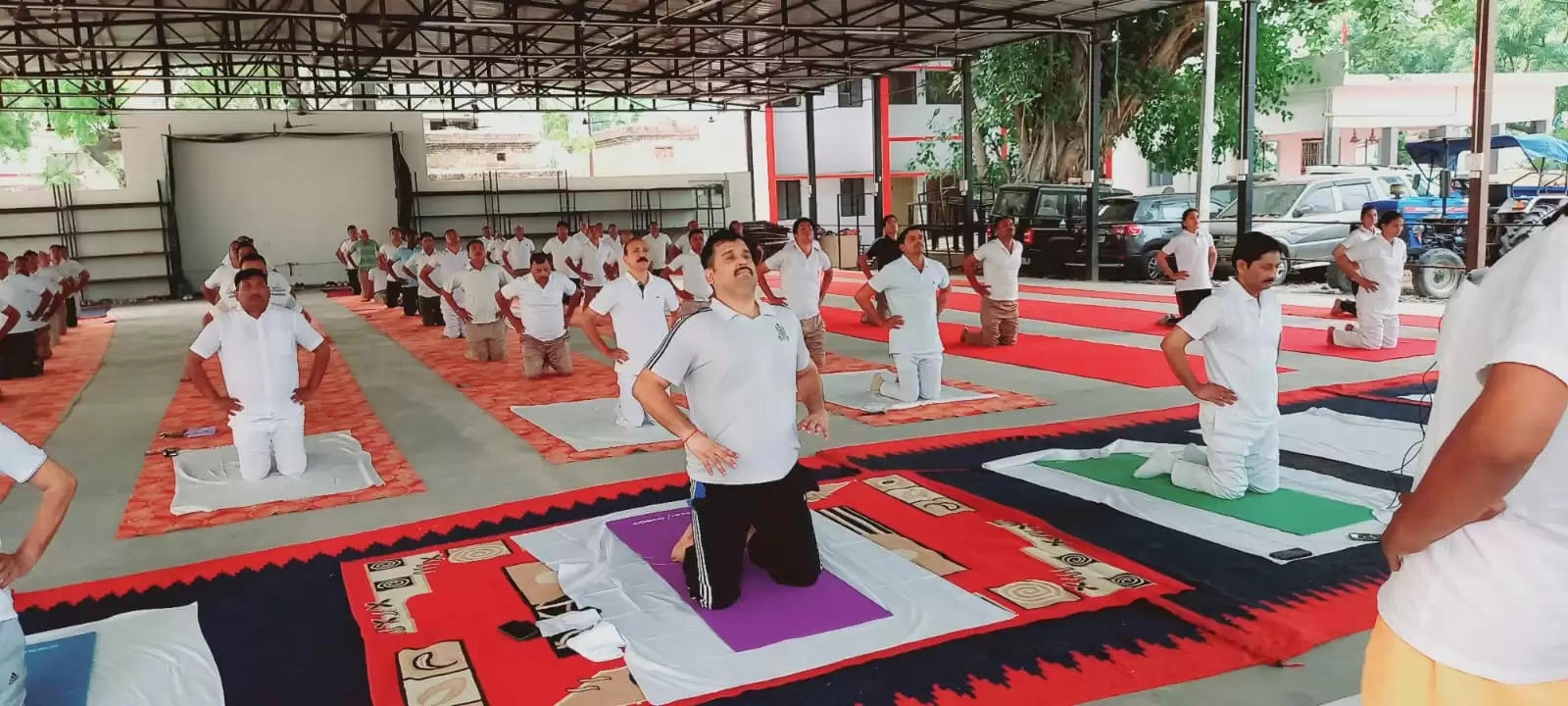 international yoga day