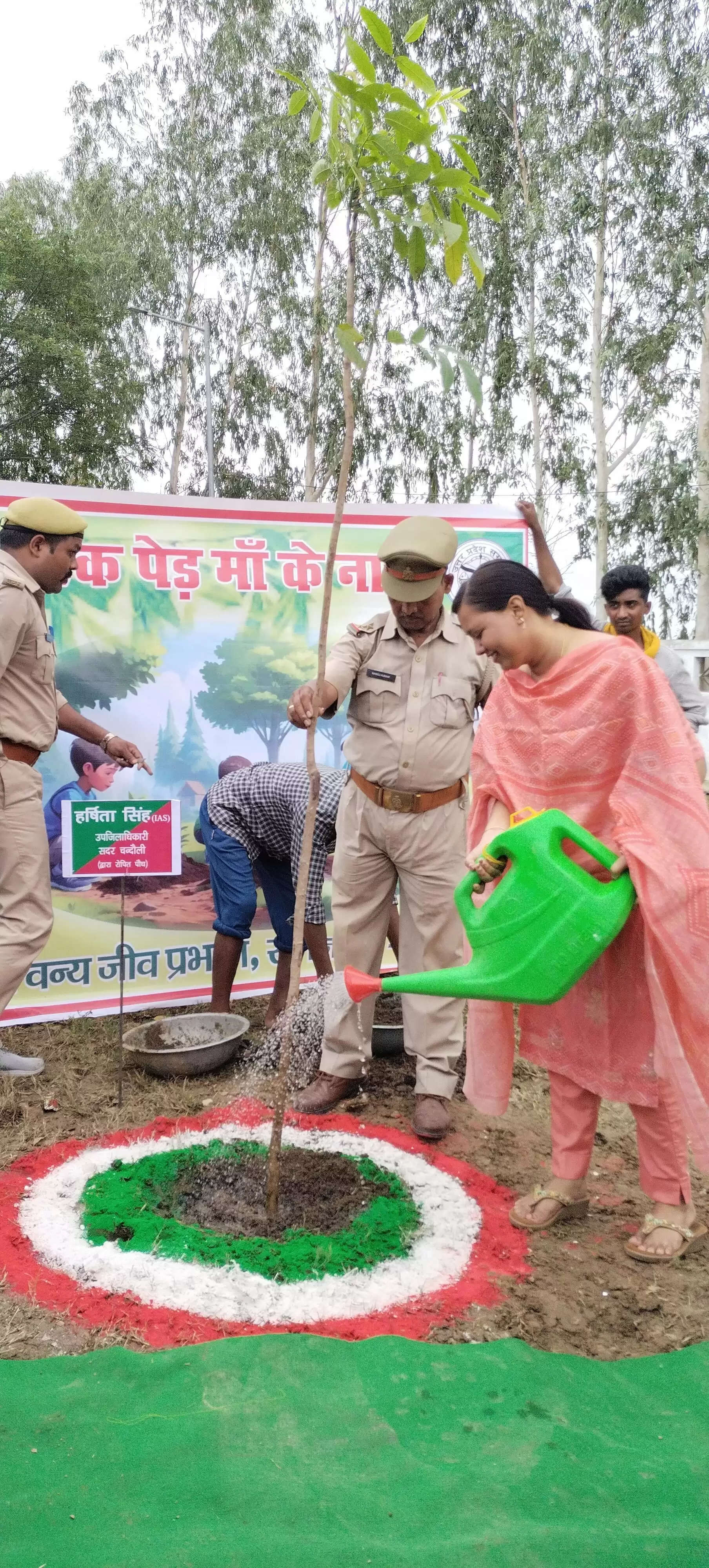  DM Chandauli Plantation