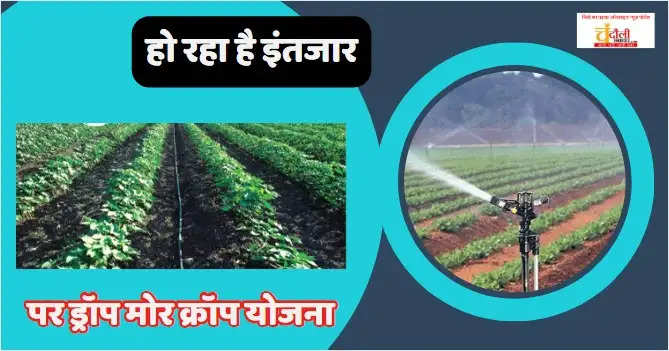 per drop more crop scheme