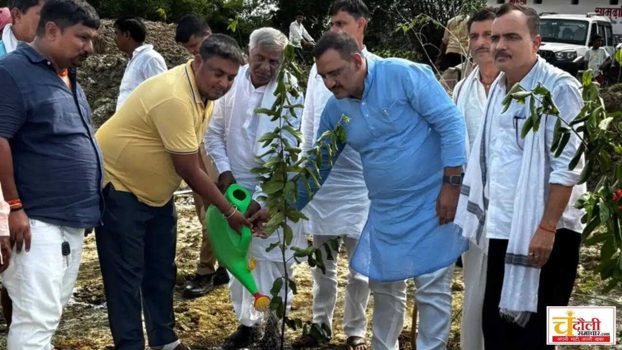 shahabganj-keray-village-tree-plantation-news