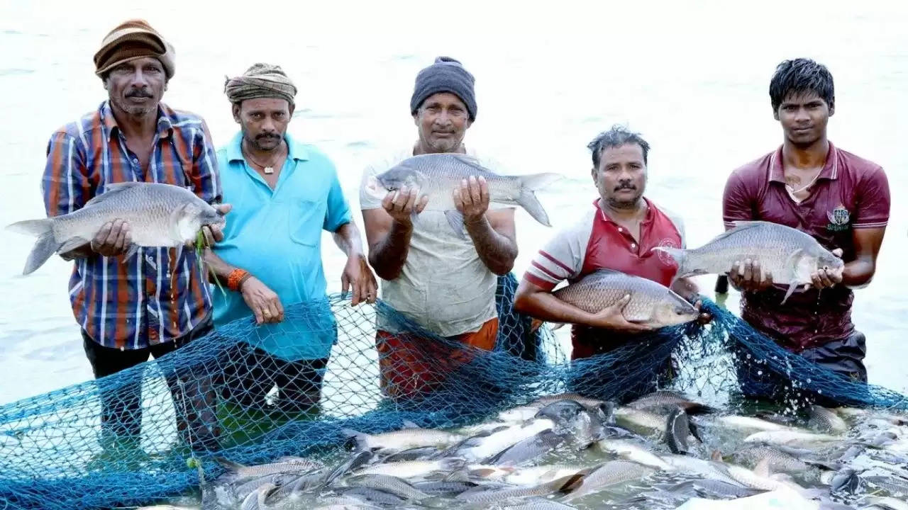 Fish Market increase