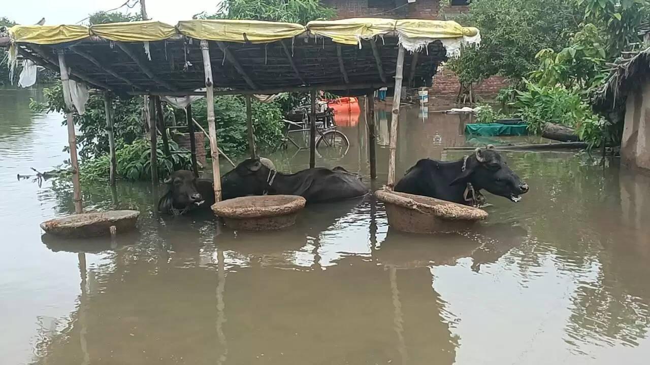 Water logging