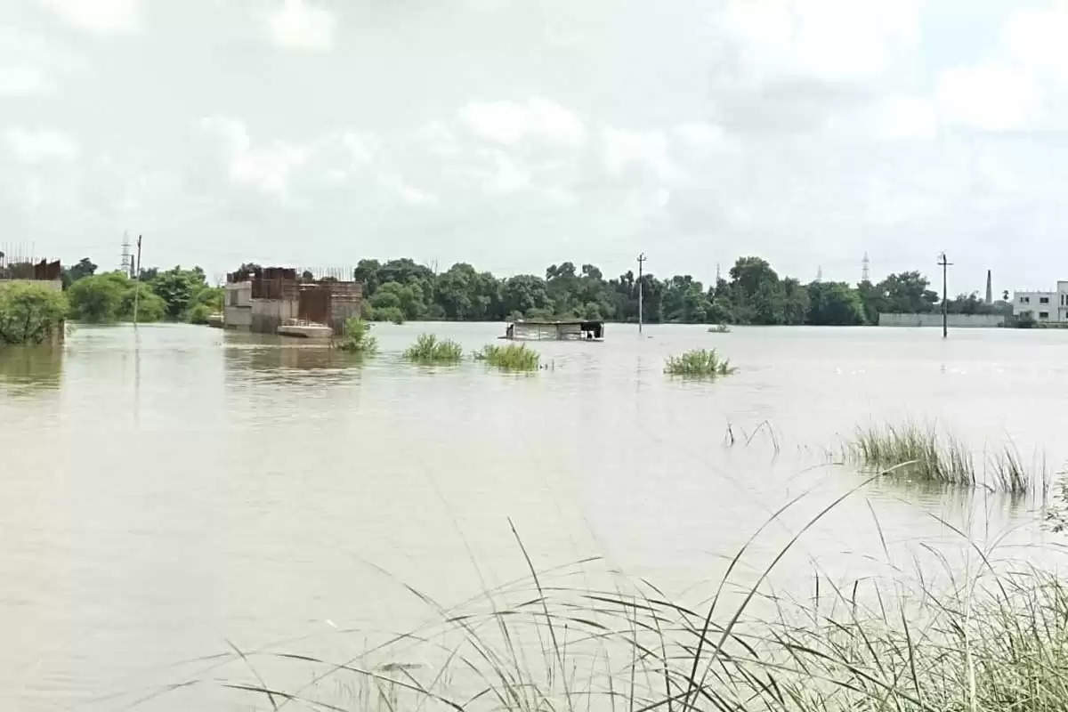 Flood in Chandauli 