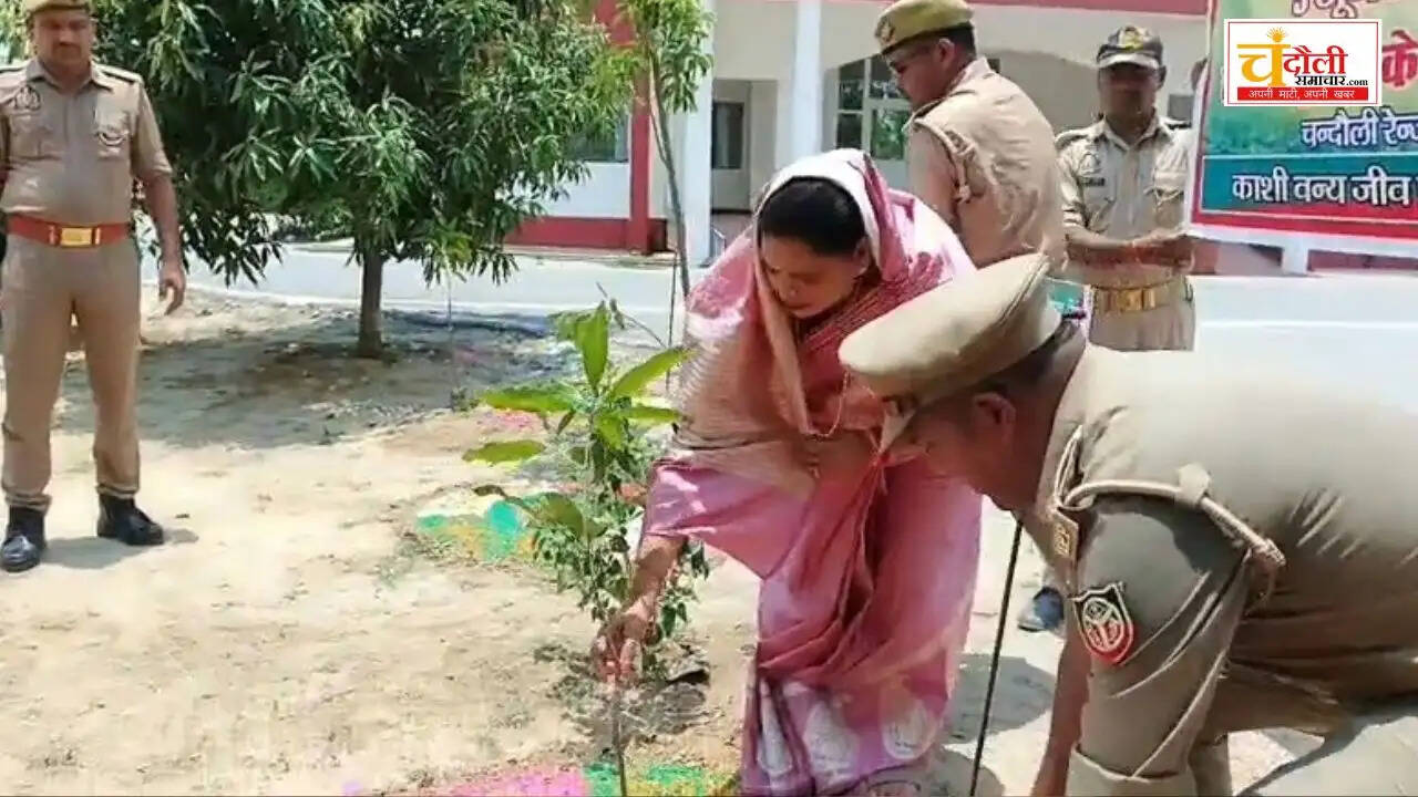 chandauli-world-environment-day-6-lakh-plantation-target