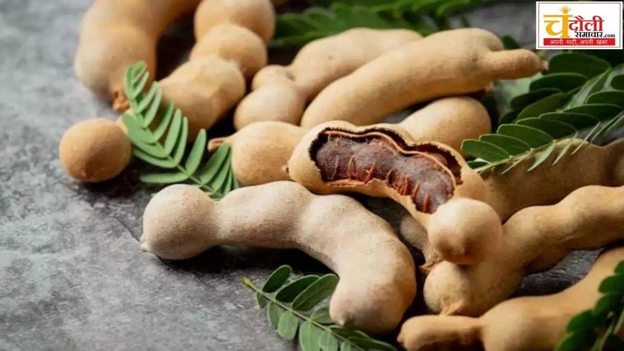 tamarind-health-benefits-ayurveda-environment