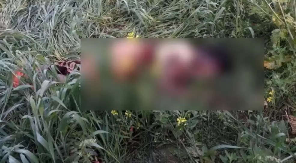 Woman body found in field