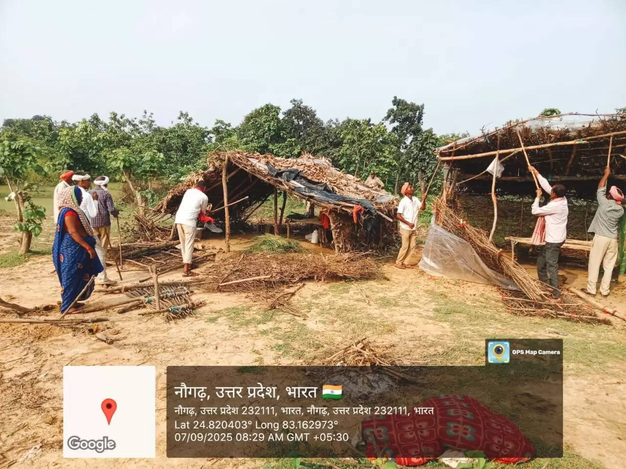 Forest department action