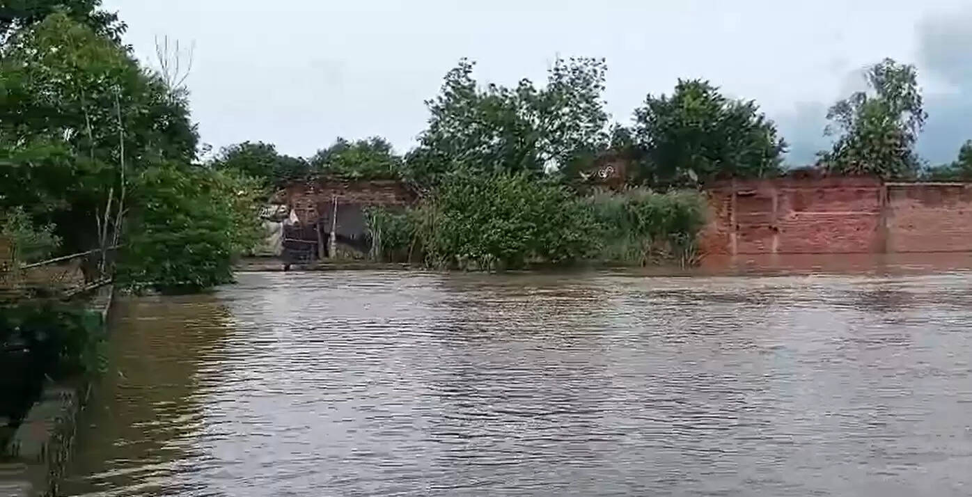 Rana Pratap Singh Demand