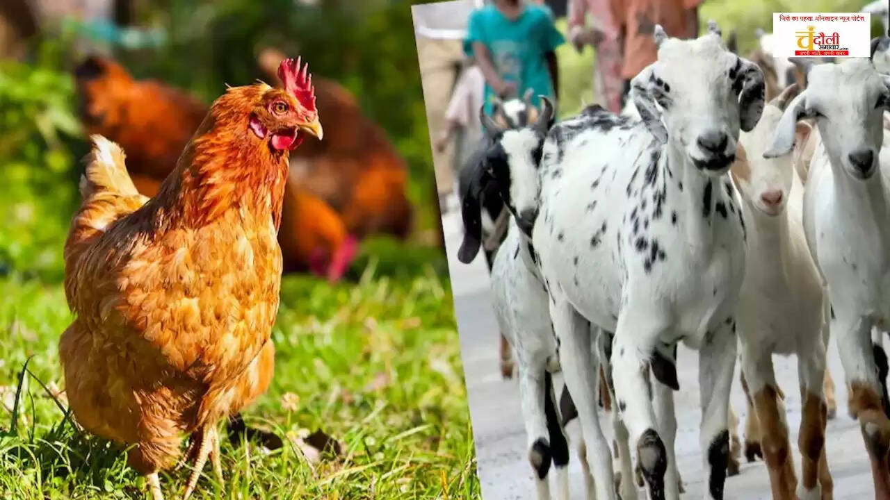 Model Musahar colony Chandauli news Chief Development Officer dream project Mukhyamantri Awas Yojana Musahar families Employment for Musahar community UP