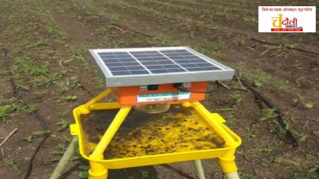 Chandauli news solar light trap subsidy, Chandauli khabar agriculture department scheme 2026