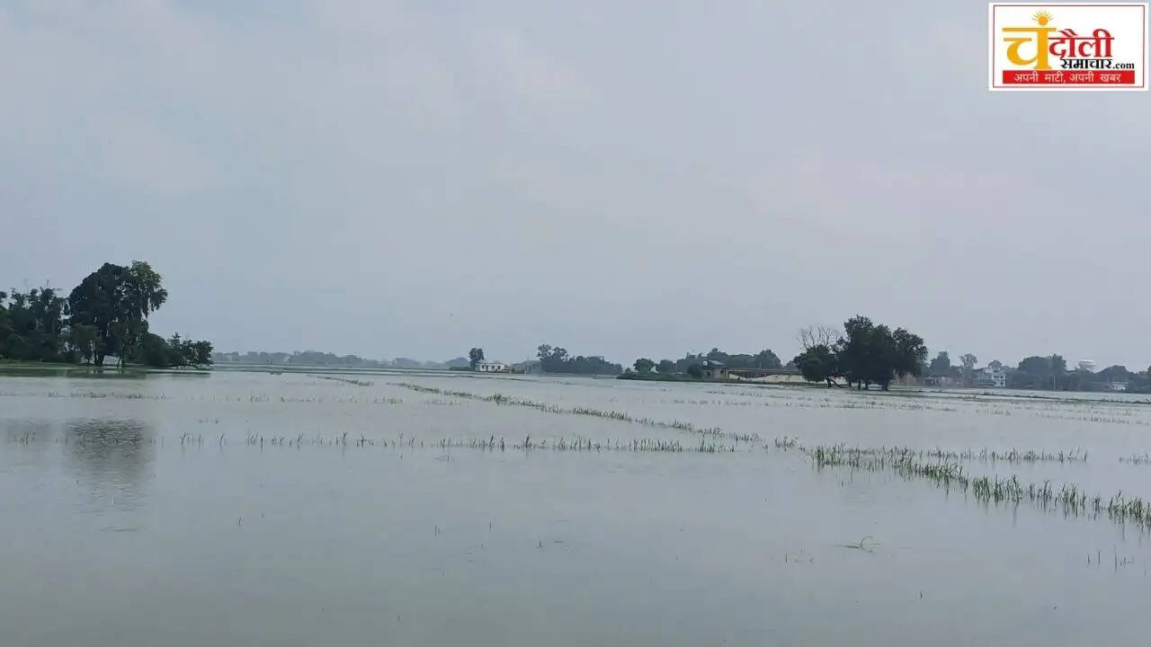 sakaldiha-paddy-crops-submerged-drain-silt