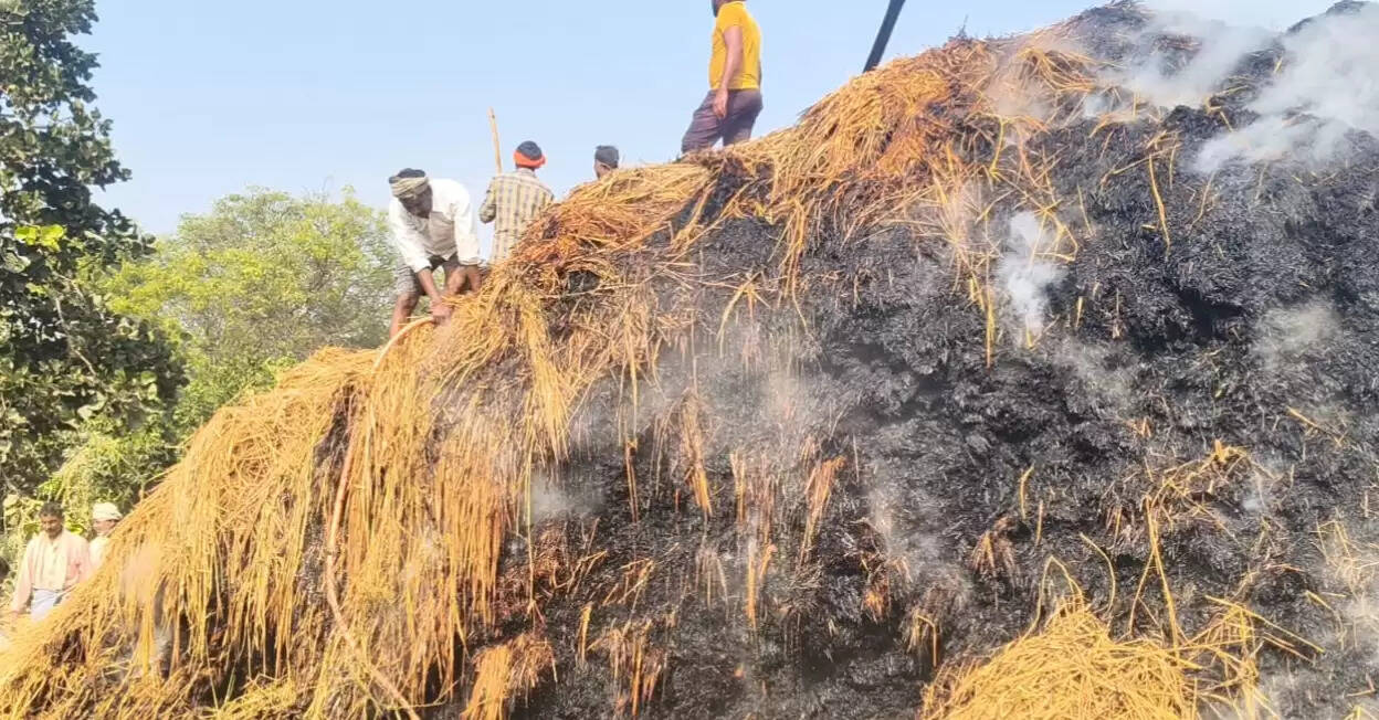 Chuppepur village stubble fire  Naugarh farmer livestock feed  25 bigha paddy straw burnt  fire incident Chandauli Sonbhadra