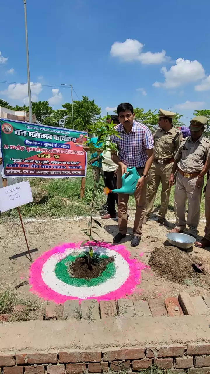 Dm Chandauli Plantation 