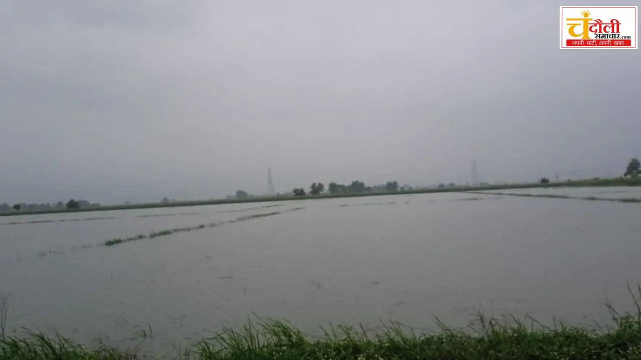 shahabganj-karail-flood-crop-damage-drain