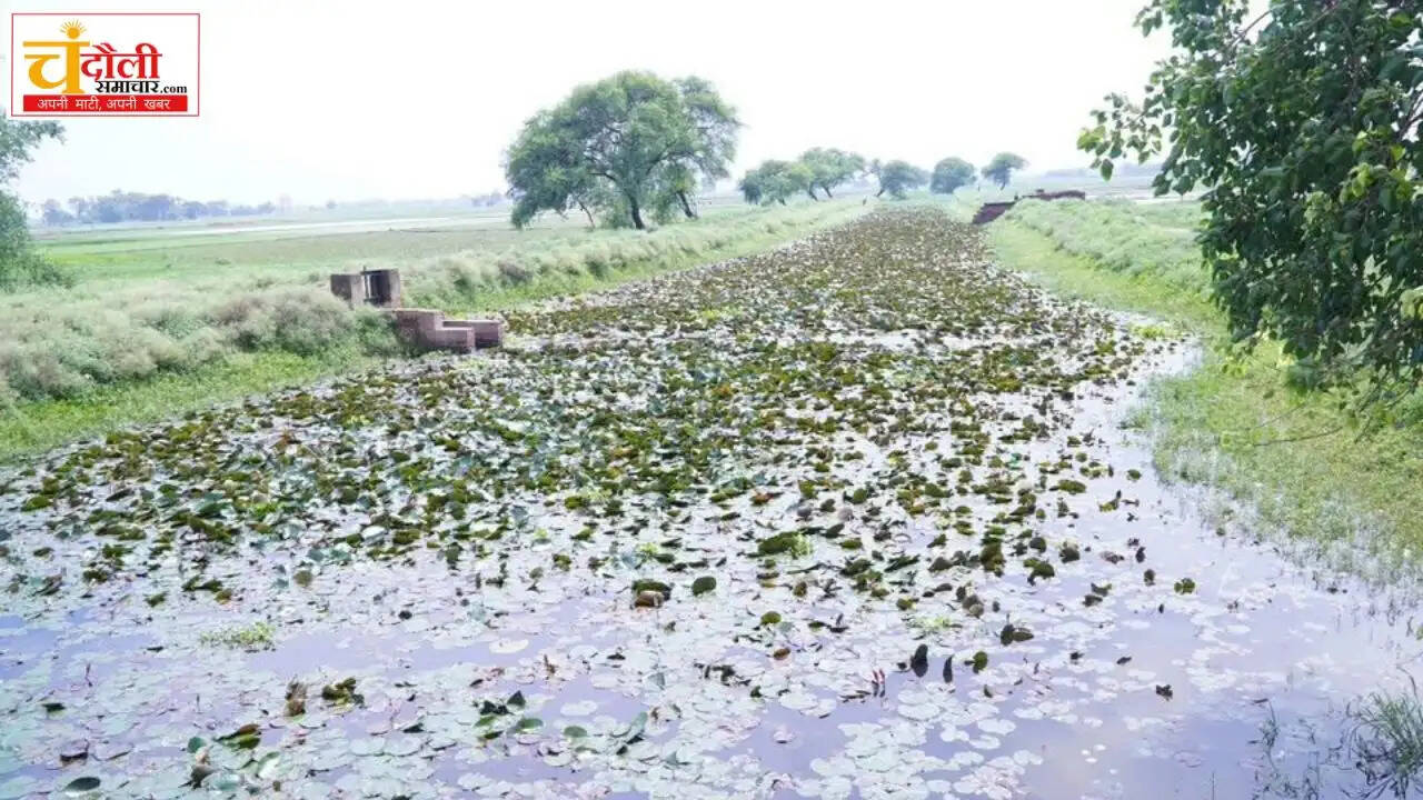 mla-sushil-singh-inspects-canal-irrigation-2026