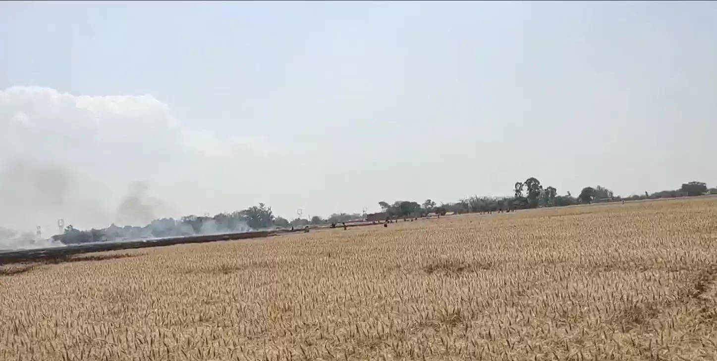 fire in wheat field