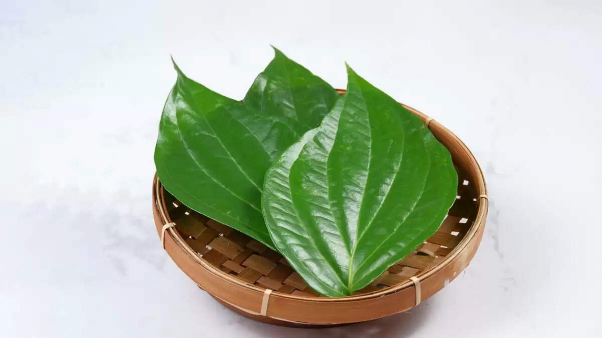 Betel leaves