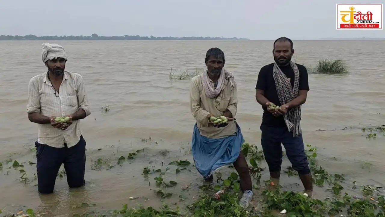 chandauli news ganga water level rise, chandauli khabar balua ghat flood update, chandauli samachar dhanapur ganga soil erosion, chandauli news kunda khurd flood alert, chandauli khabar district administration flood outpost