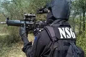 nsg commando