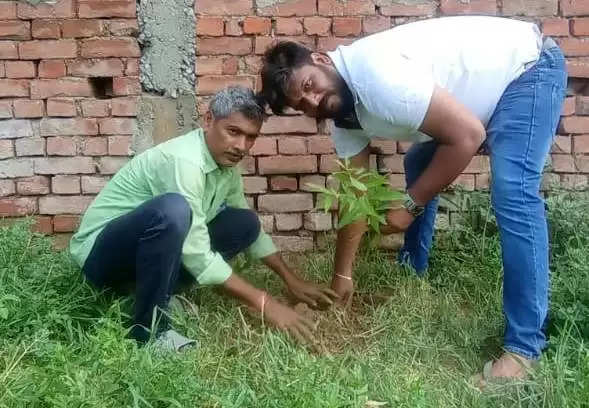 Plantation on birthday