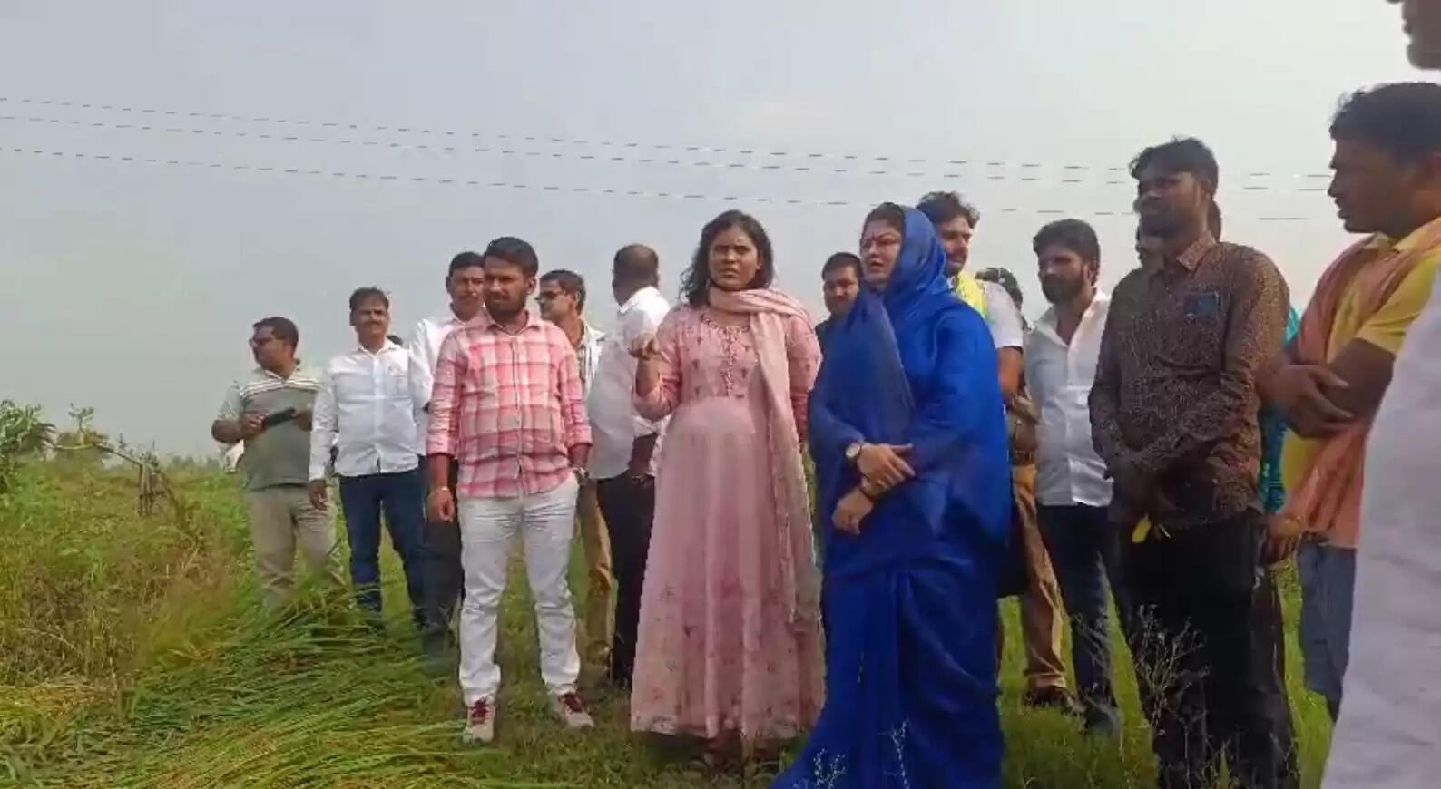 Crocodile hunts fish