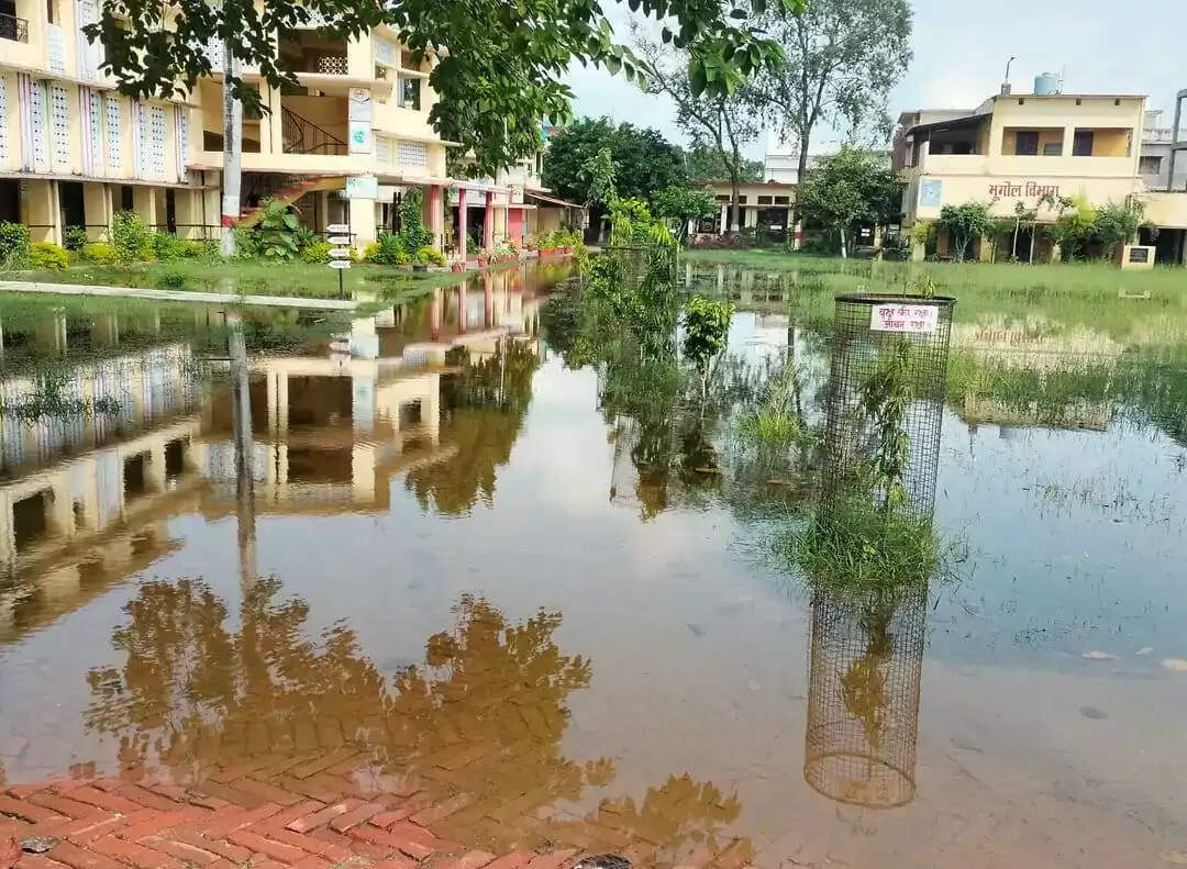  sakaldiha pg college 