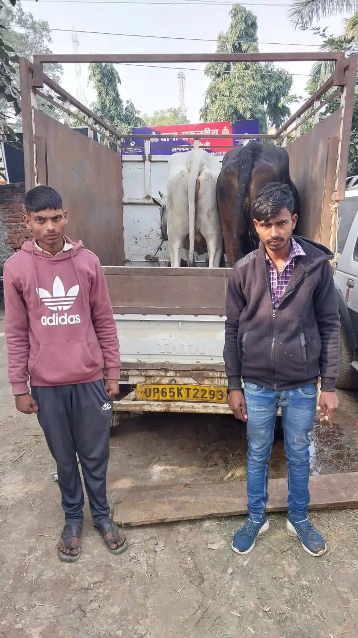 two pashu taskars arrested