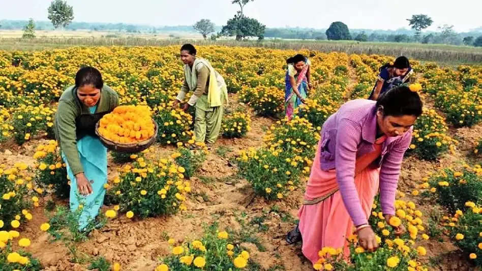 Preparation to increase flower