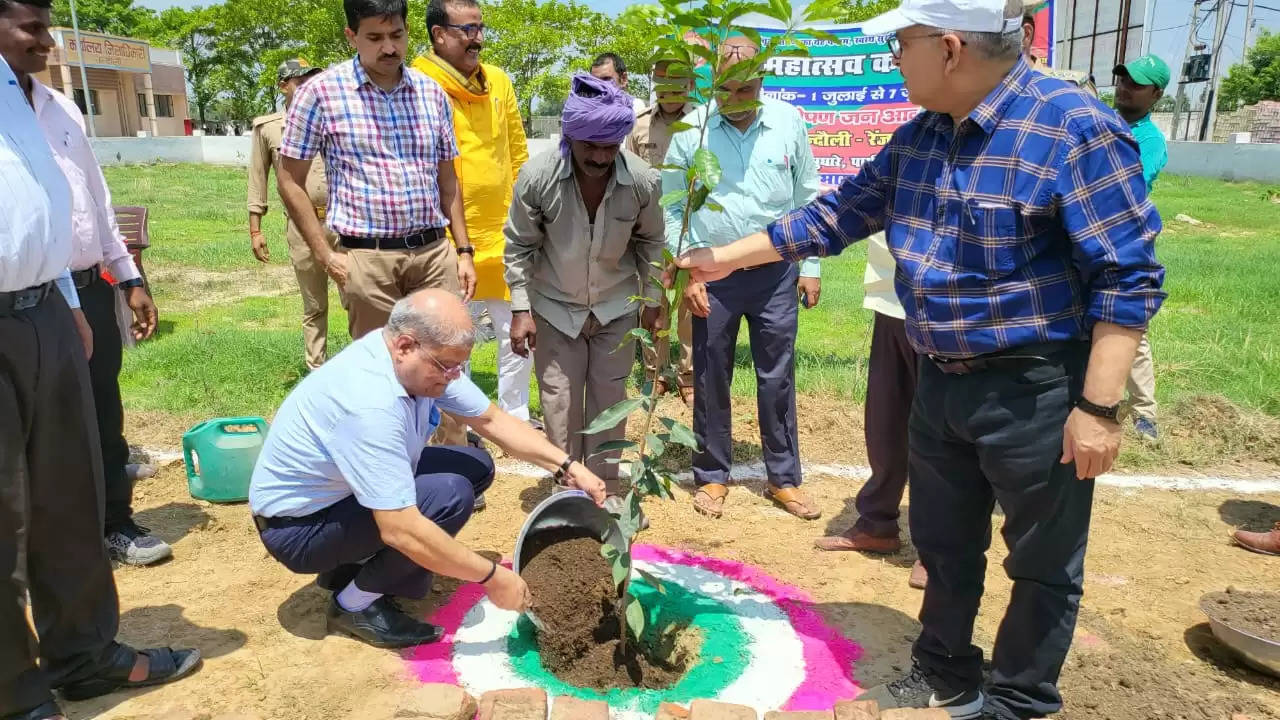 Dm Chandauli Plantation 