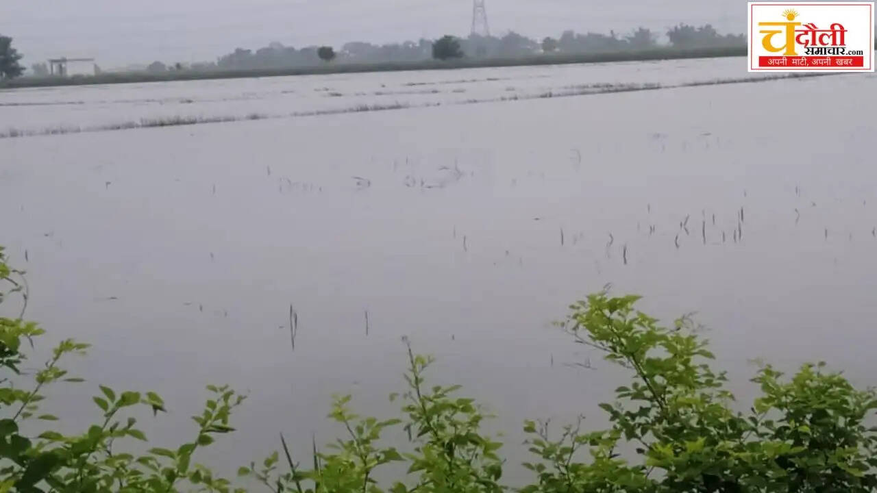 shahabganj-karail-flood-crop-damage-drain