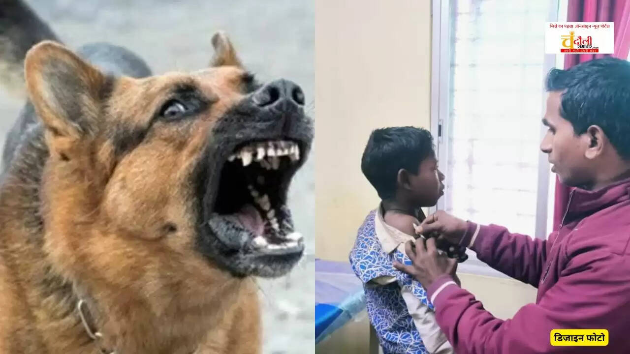 Naugadh Stray Dog Attack News, Chandauli Rabies Alert 2026, CHC Naugadh Anti Rabies