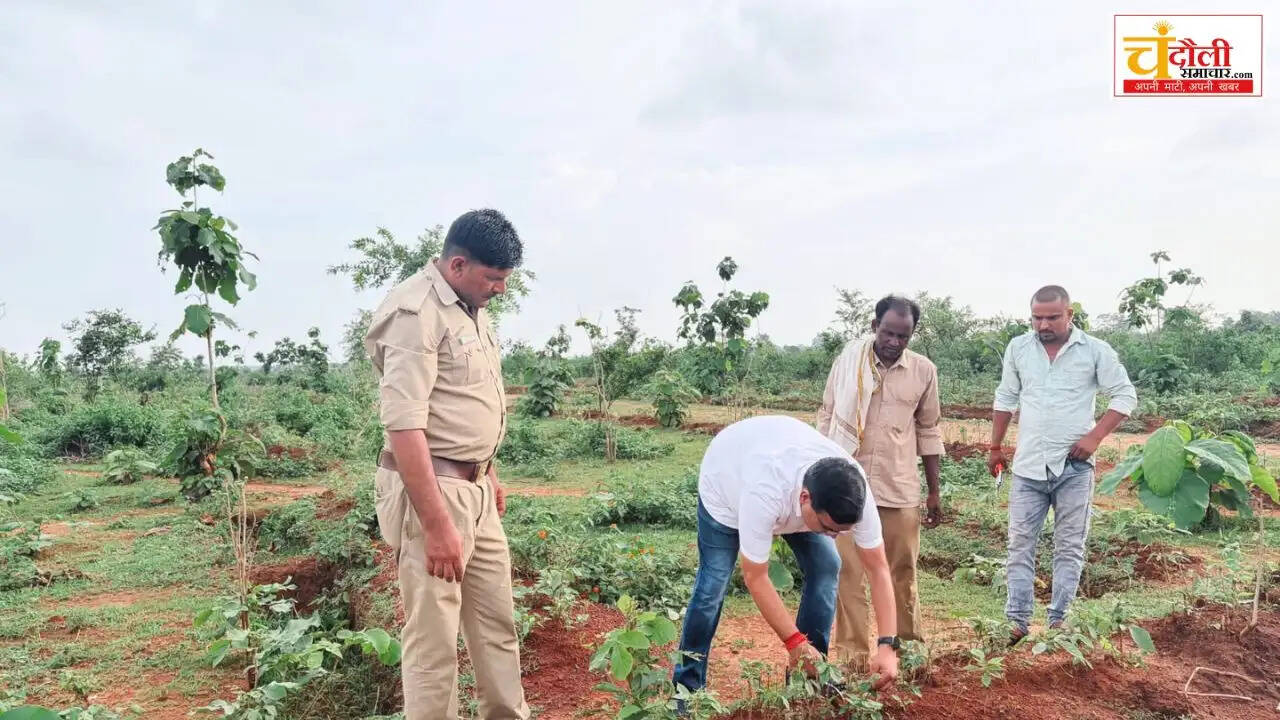 jaimohani-range-plantation-maintenance-tanker-news
