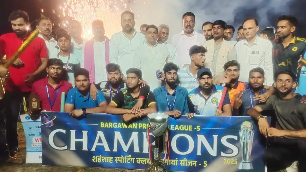 canvass ball cricket