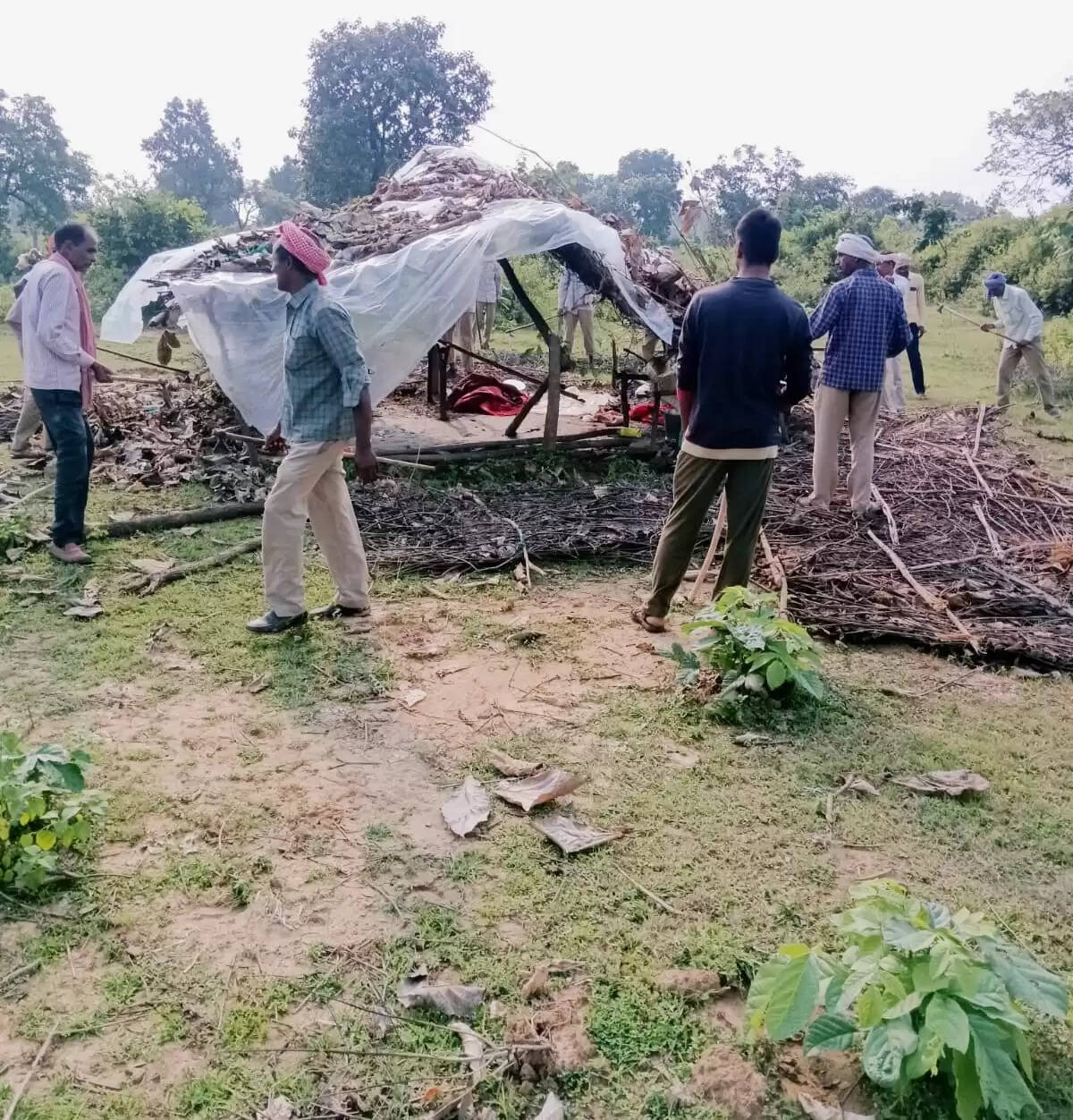 Forest department action