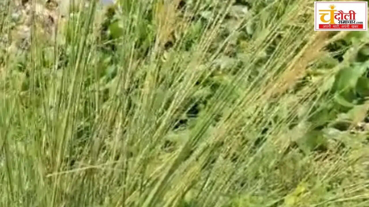 farmers-protest-irrigation-department-canal-issue