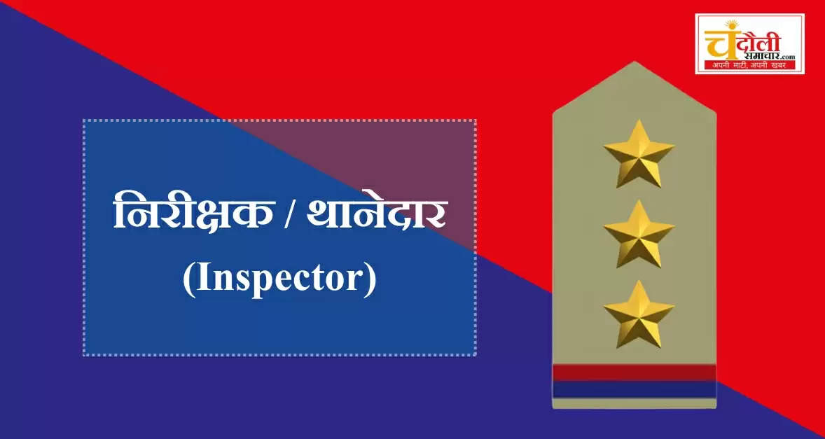 Inspectors and Inspectors 