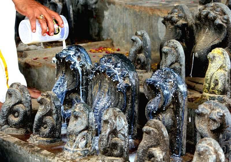 nagpanchami puja method