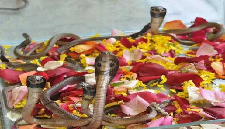 nagpanchami puja vidhi