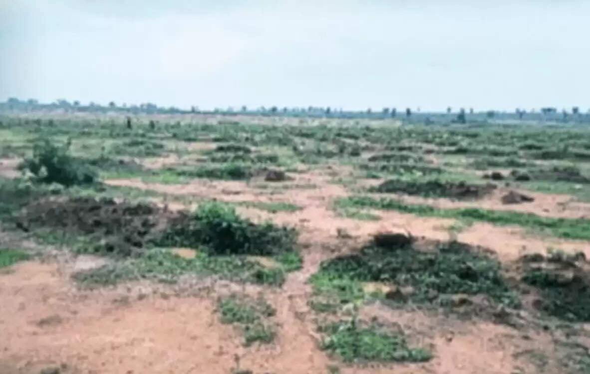  Silk department land encroachment Naugarh Chandauli  Plantation scam in government project Chandauli  Misuse of government funds silk farming project