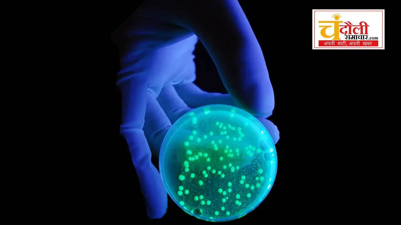  science of ultraviolet rays explain, chandauli news space updates, 