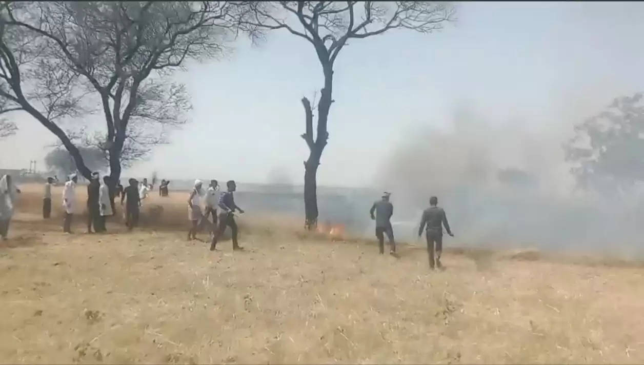 wheat crop burnt 