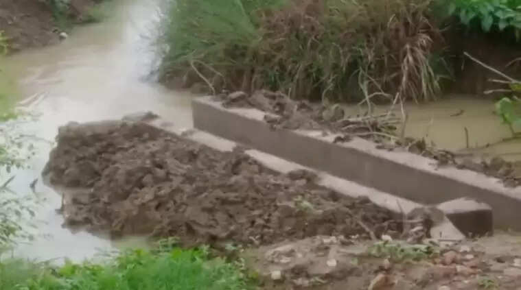 irrigation department