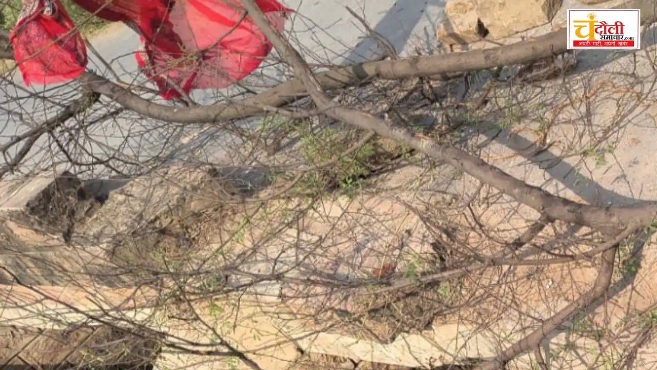 shahabganj-hadaura-regulator-bridge-collapsed