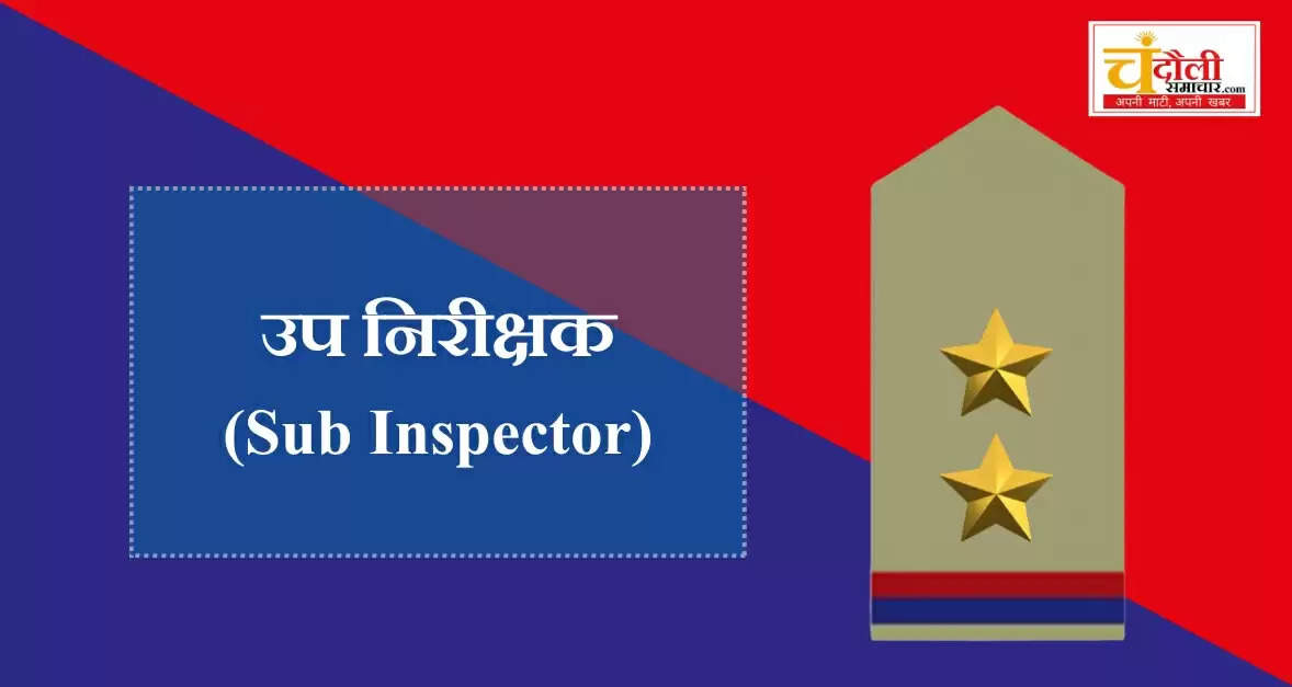 Inspectors and Inspectors 