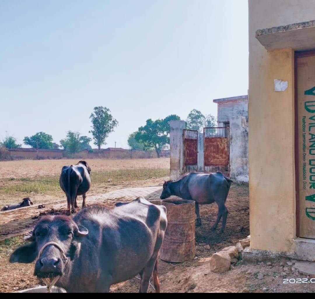 मौका मिले तो इस हेल्थ और भले सेंटर पर घूम जाइए CMO साहब, देख लीजिए कैसे चल  रहा है यह सेंटर